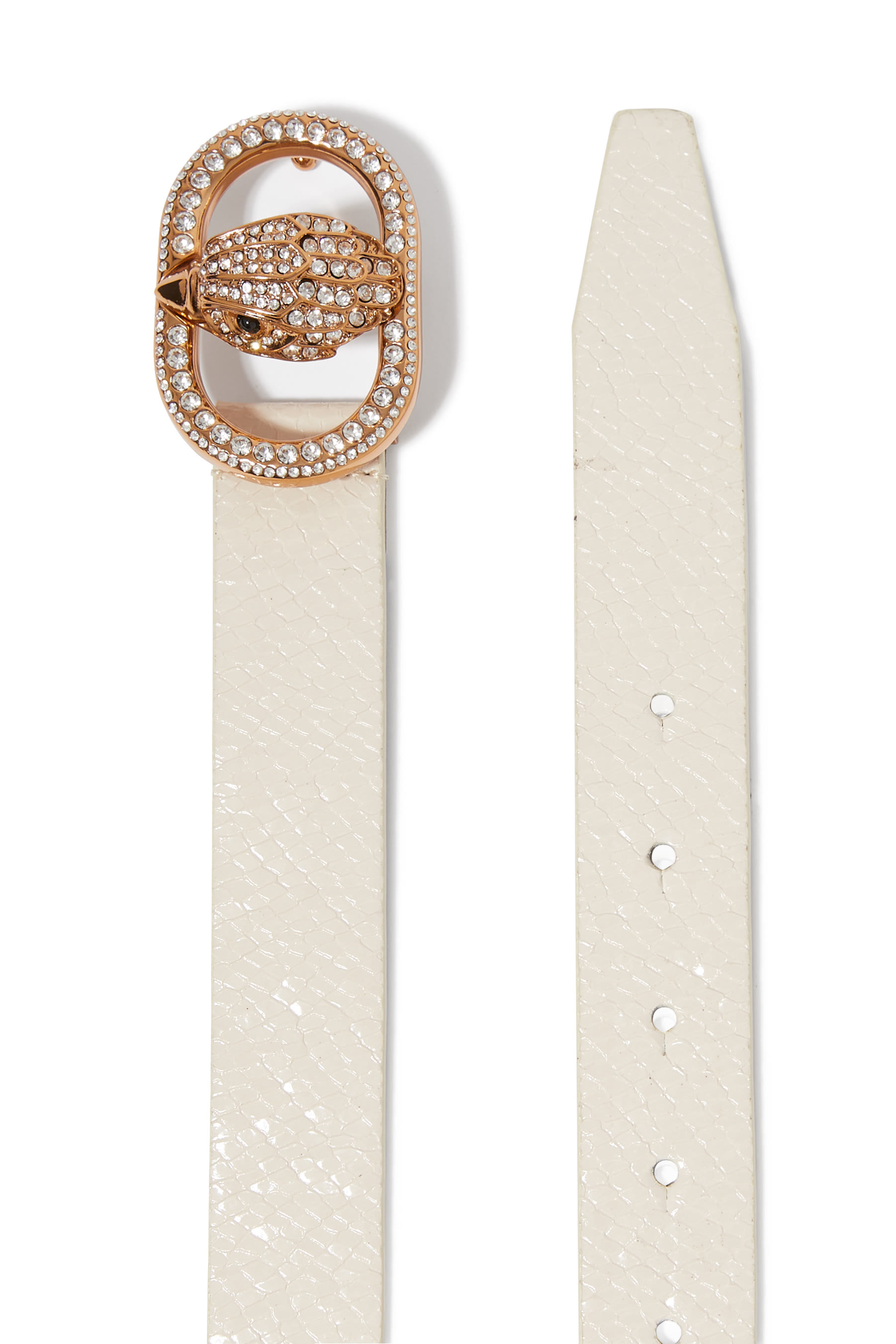 حزام تشيلسي