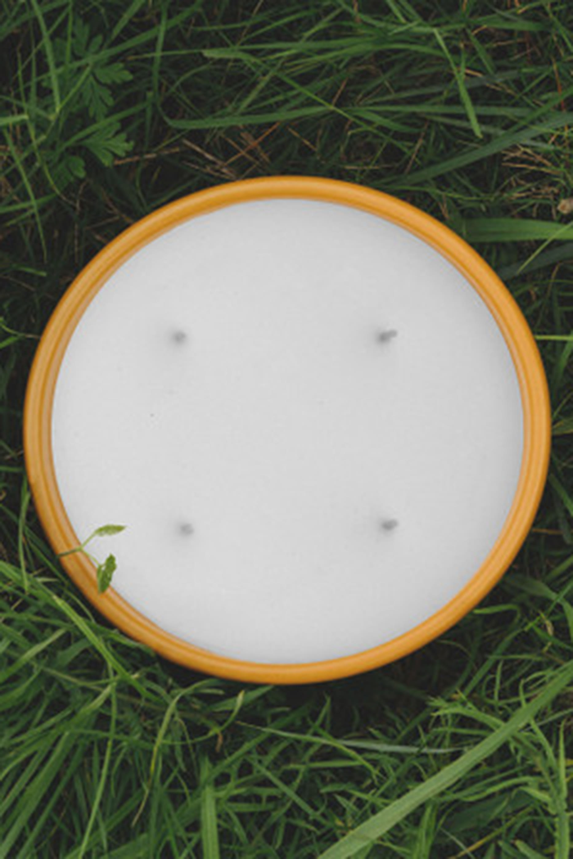 شمعة معطرة خارجية برائحة الزنجبيل