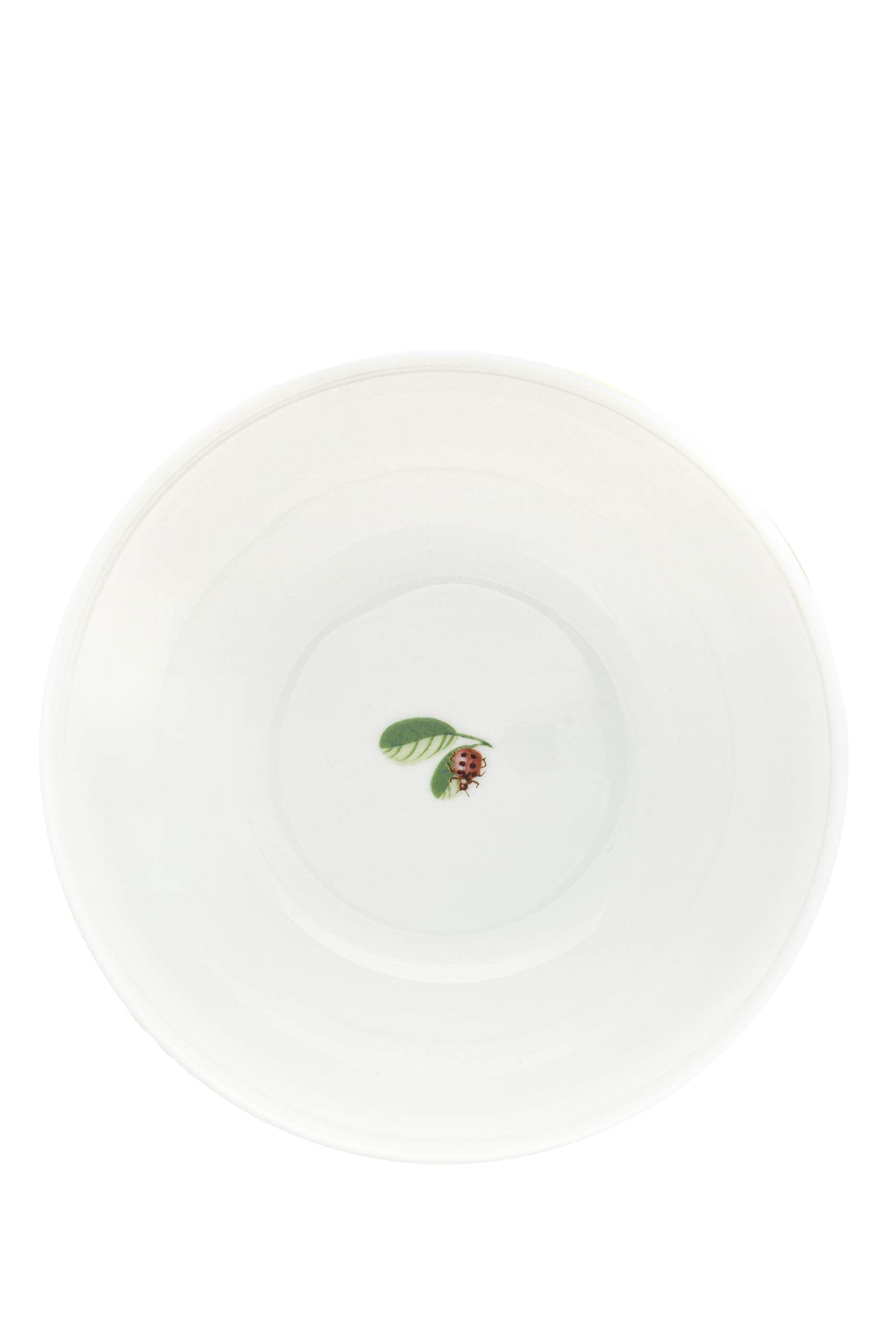 وعاء لا ماجوريل