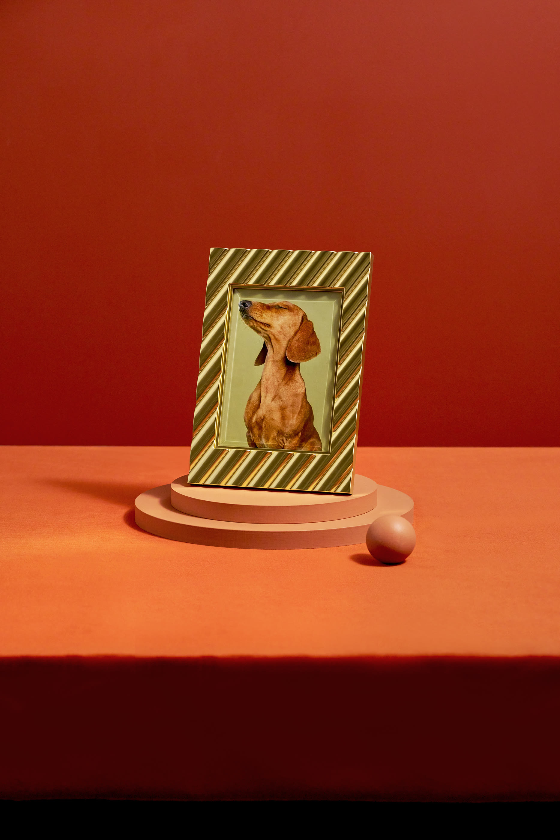 إطار صور ماكسيم - متوسط