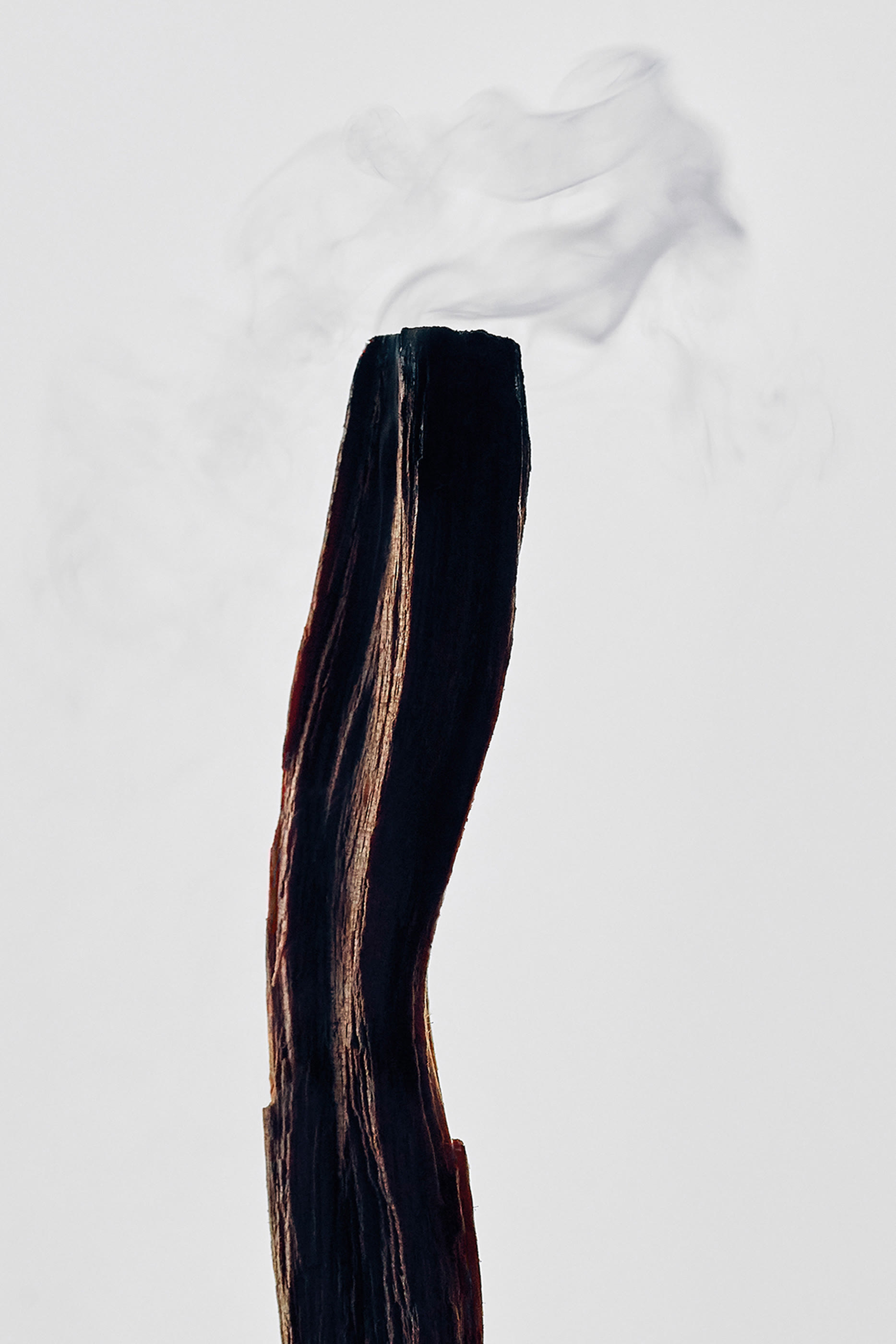 شمعة سانتو بالو متوسطة