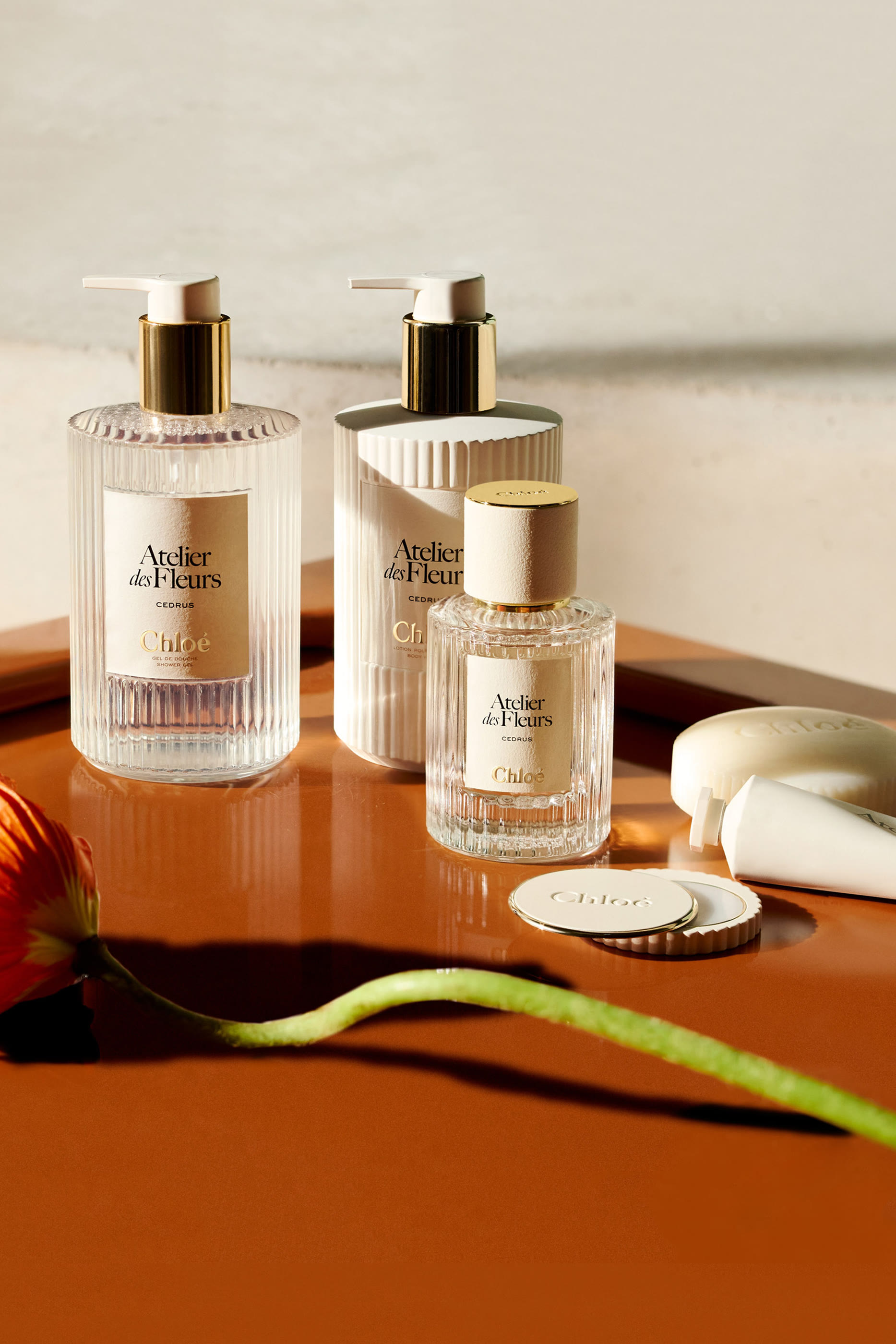 شاور جل معطر اتولييه دي فلور جازمينوم سامباك