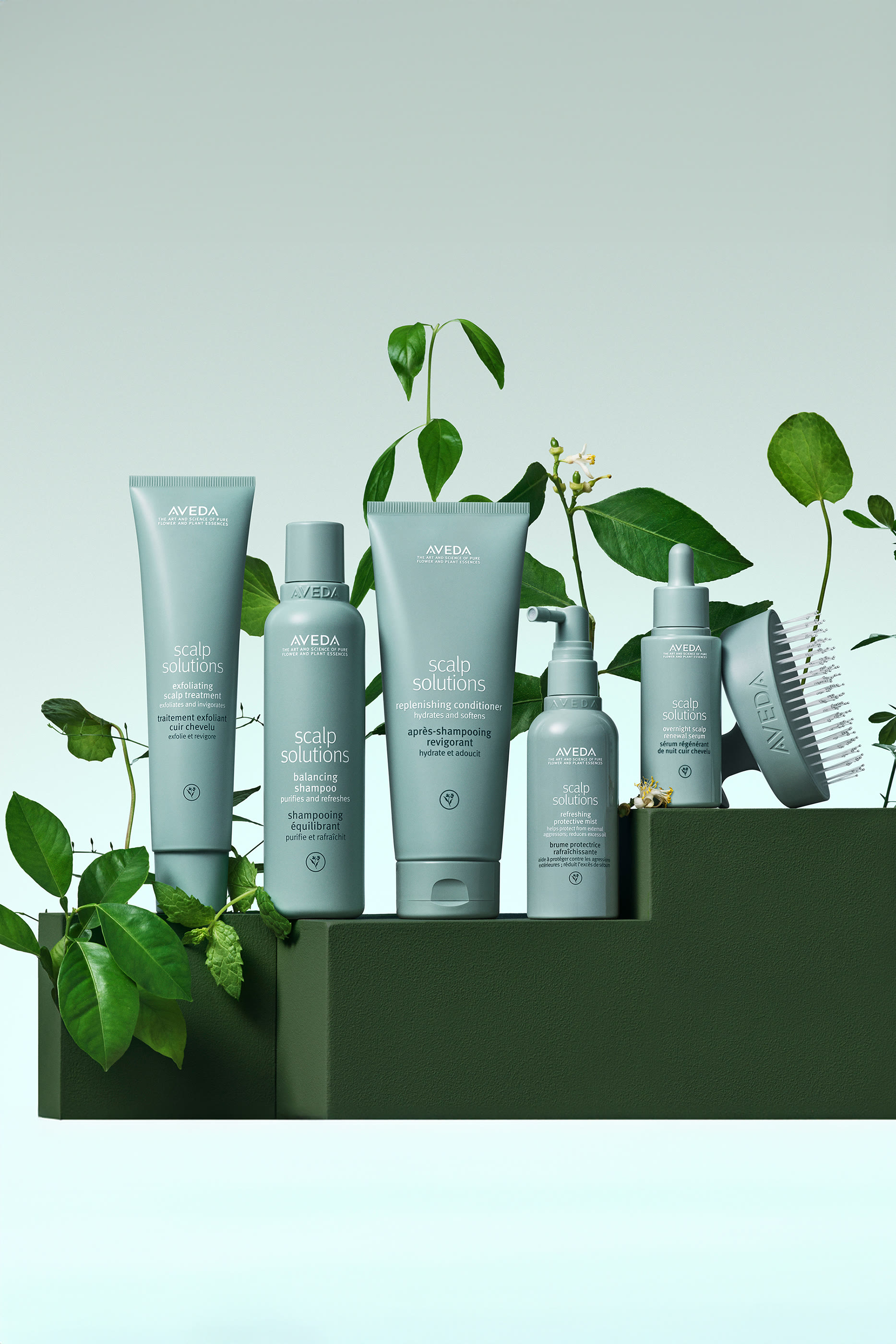 شامبو  سكالب سولوشنز لموازنة فروة الرأس