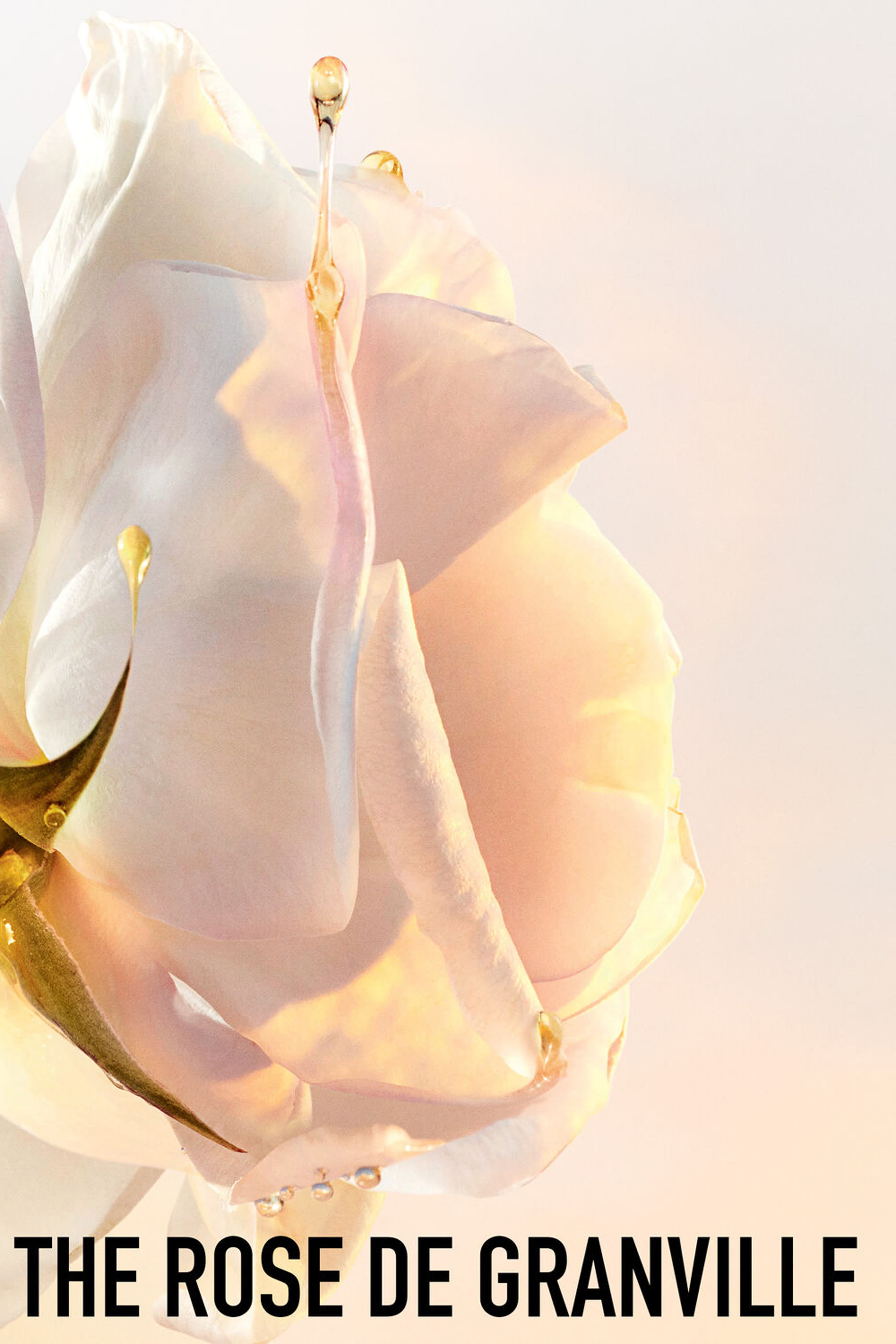 غسول ميسيلار رغوي ديور برستيج