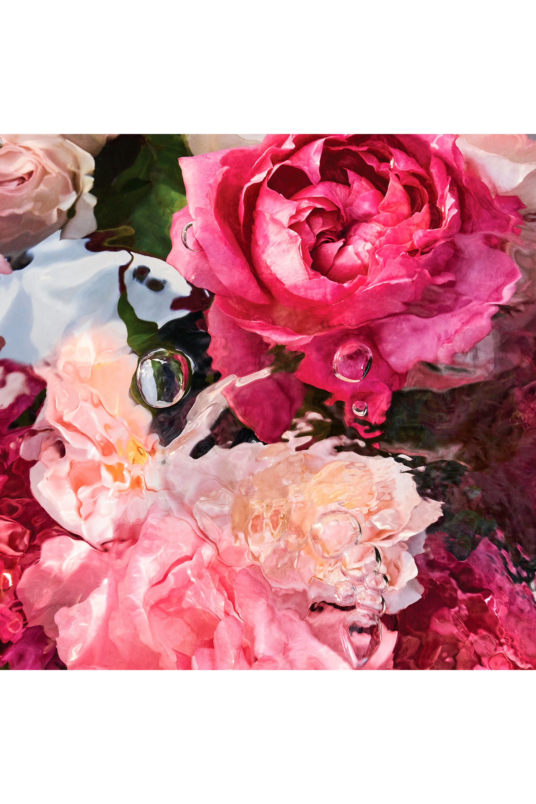 أو دو تواليت روزا روزا