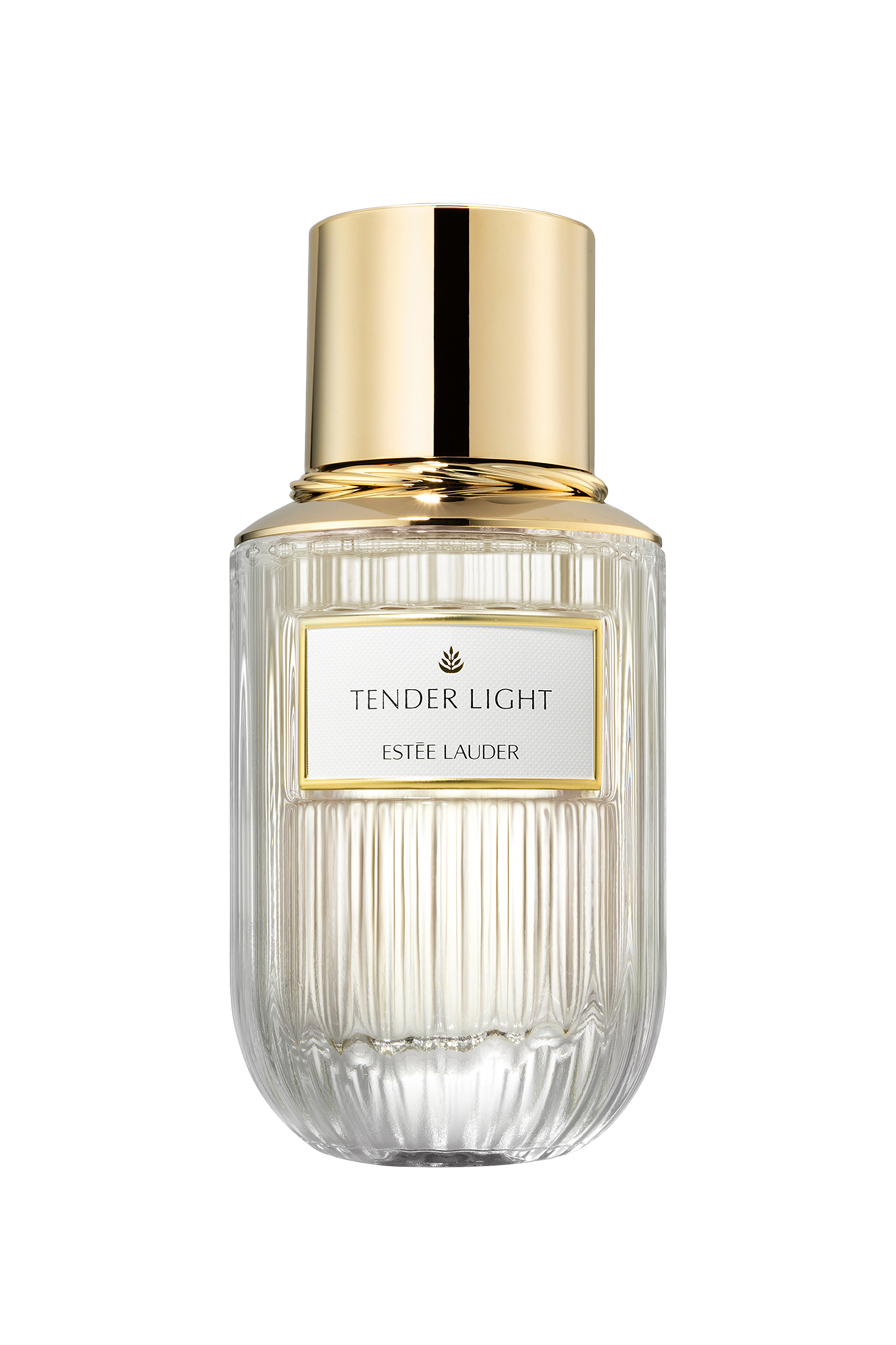 Tender Light Eau de Parfum Spray
