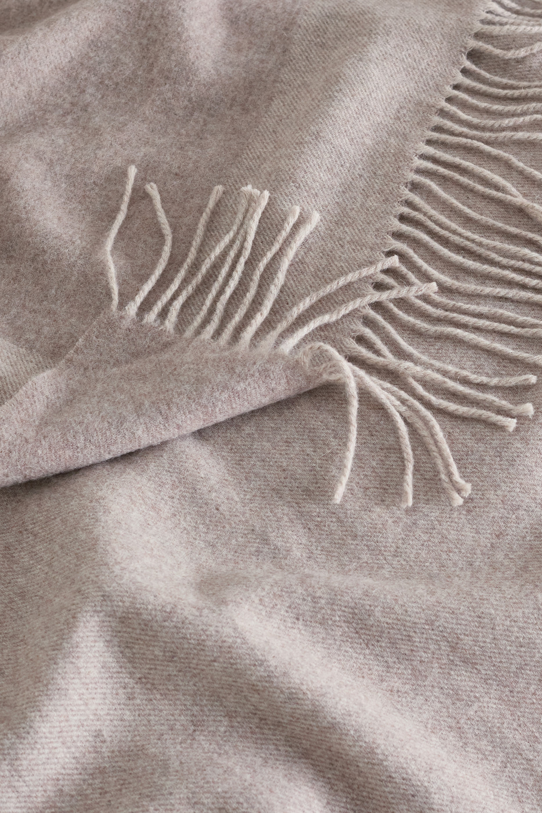 غطاء كروفتون صغير