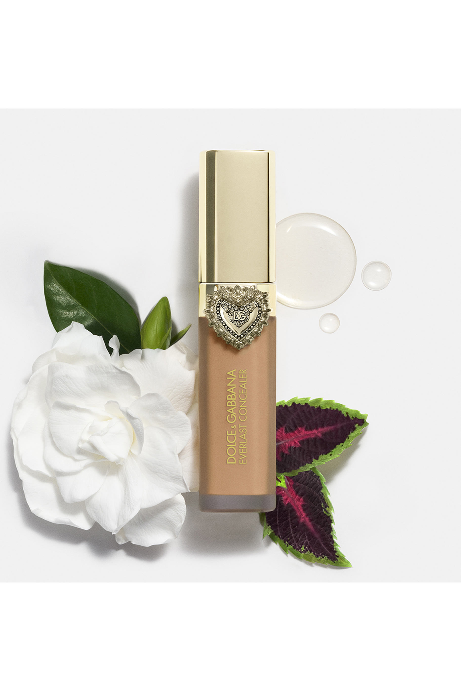 خافي عيوب إيفرلاست