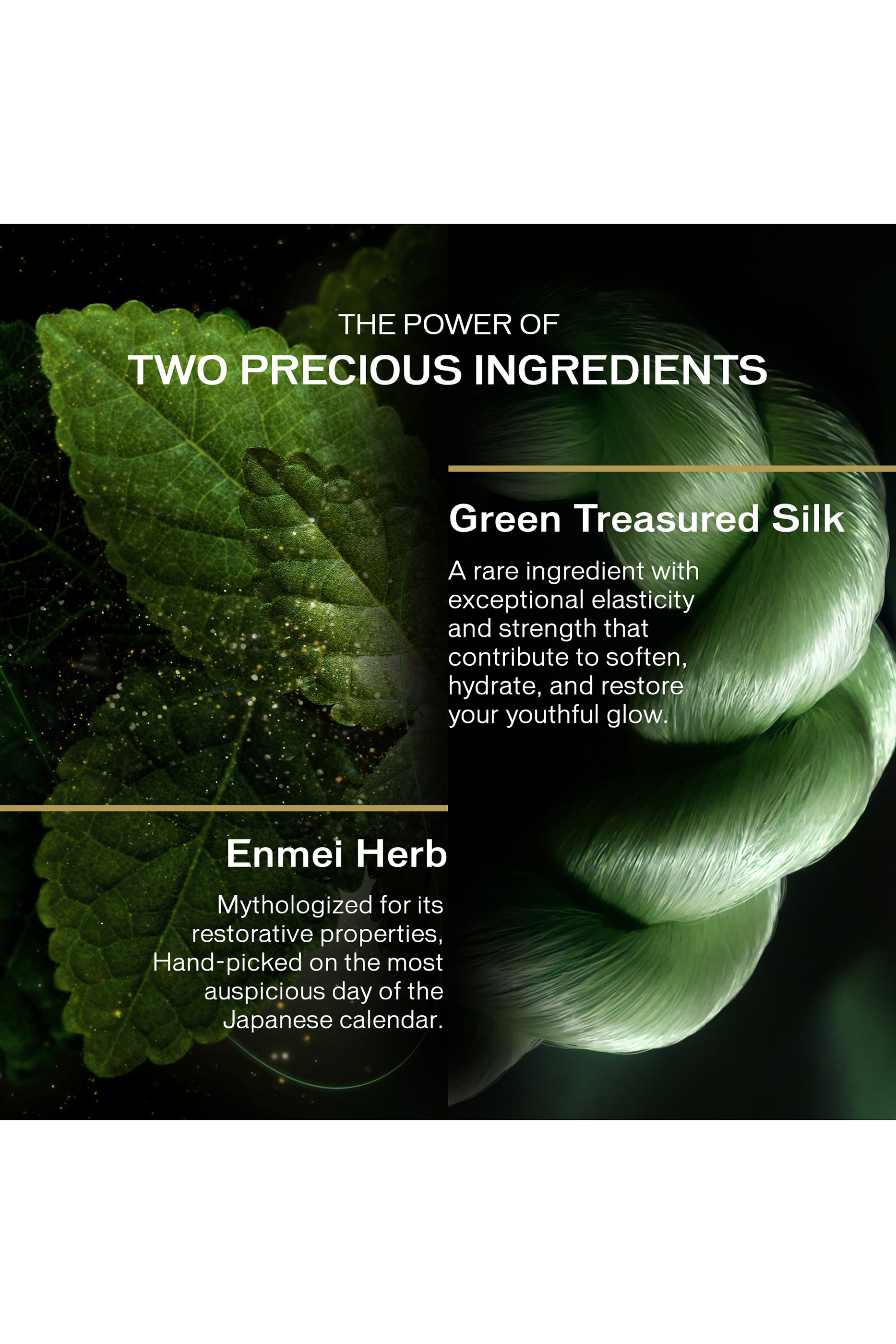 سيروم فيوتشر سولوشن إل إكس بعشبة الإنمي لإشراق الوجه