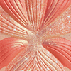 3 Corail