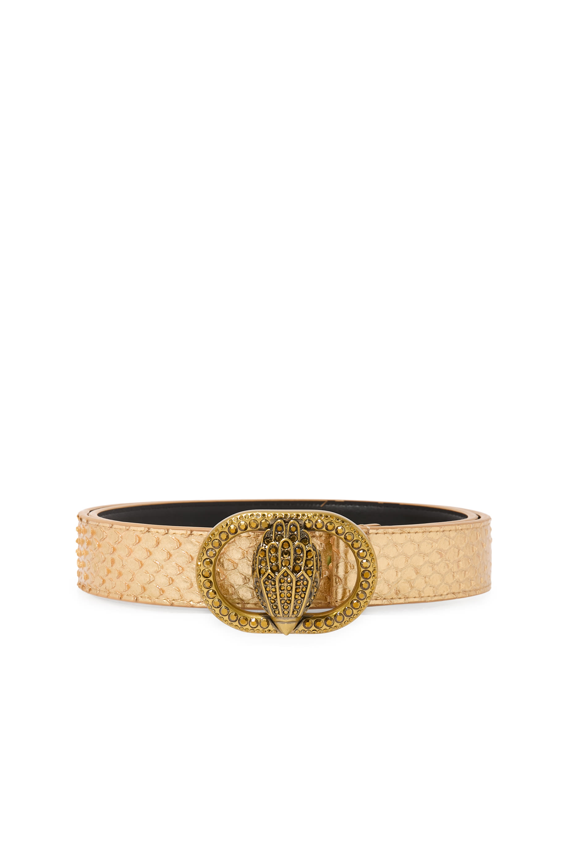 حزام تشيلسي